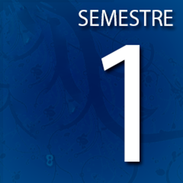SEMESTRE-1