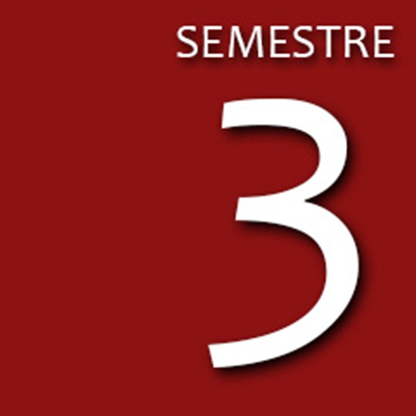 SEMESTRE-3